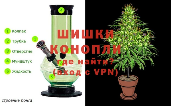 ГАЛЛЮЦИНОГЕННЫЕ ГРИБЫ Осташков