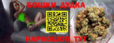 молекула духа Новозыбков