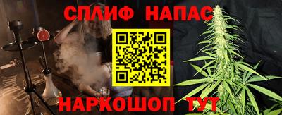 молекула духа Новозыбков