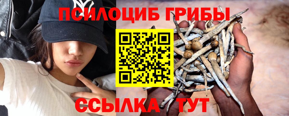 Краснокамск  Псилоцибиновые грибы мицелий  Вход с VPN 
